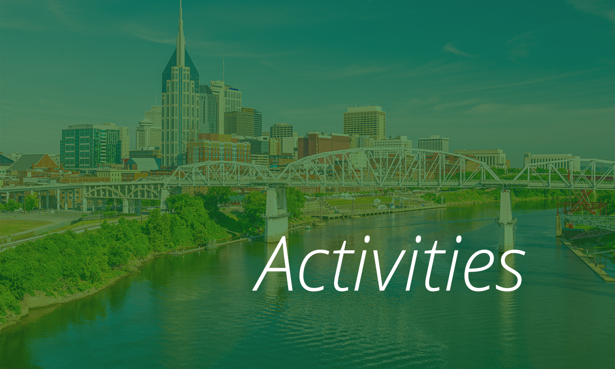 Summer Spine - activities